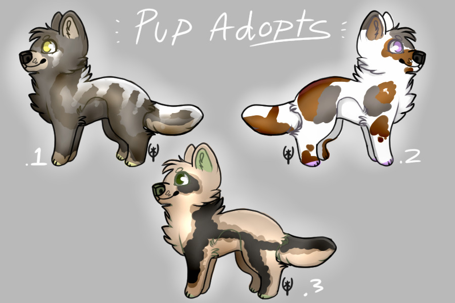 - Pup adopts for sale! -