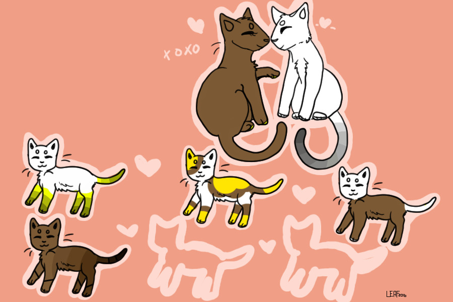 Kitten Adoptables!