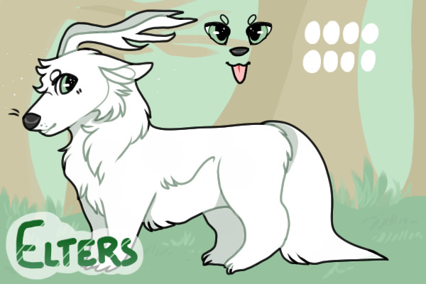 Elters Adopts