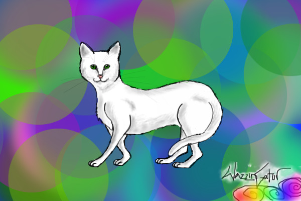 White Kitty