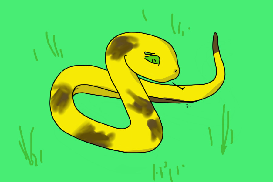 Coloured