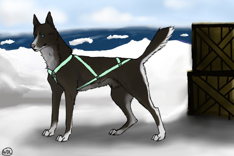 Entry 3 || Final entry