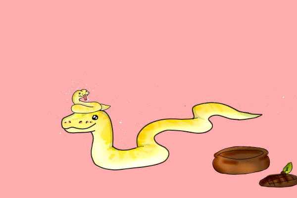 My snake and friend
