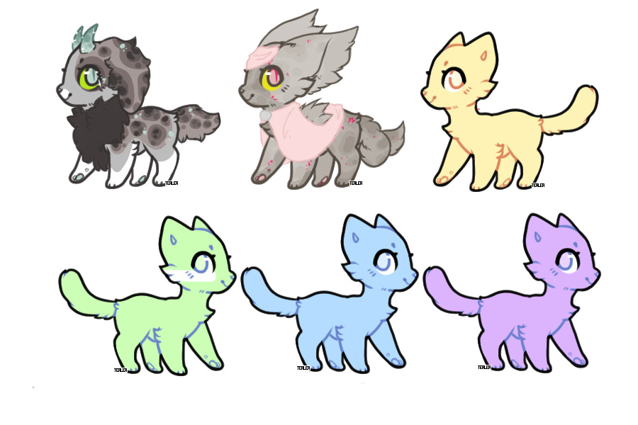 Auctions [ CS pet only ]