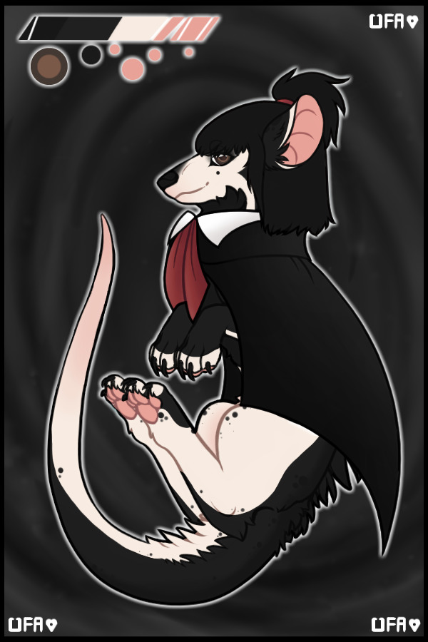 Viscet # 2658 winner!