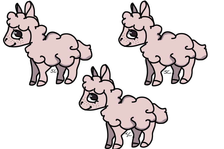 sheep lines
