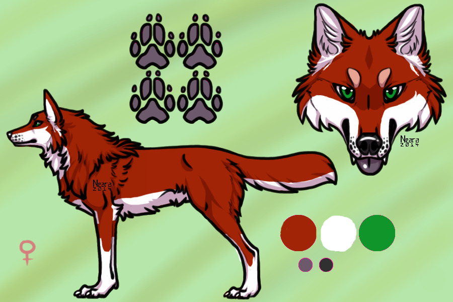 Arakuta Reference Sheet