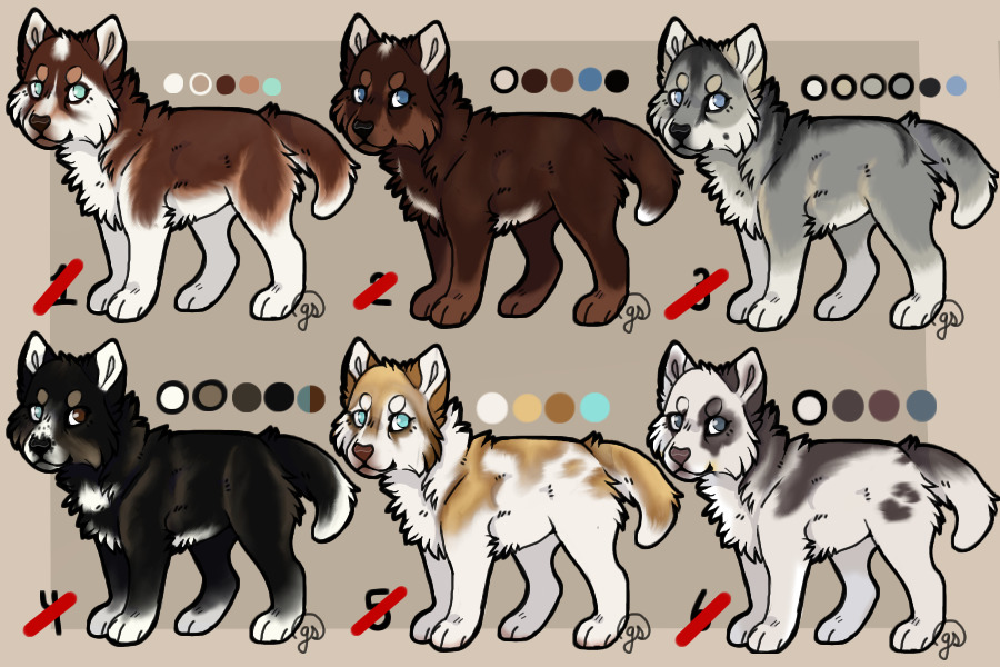 I dream of huskies <3 All Sold