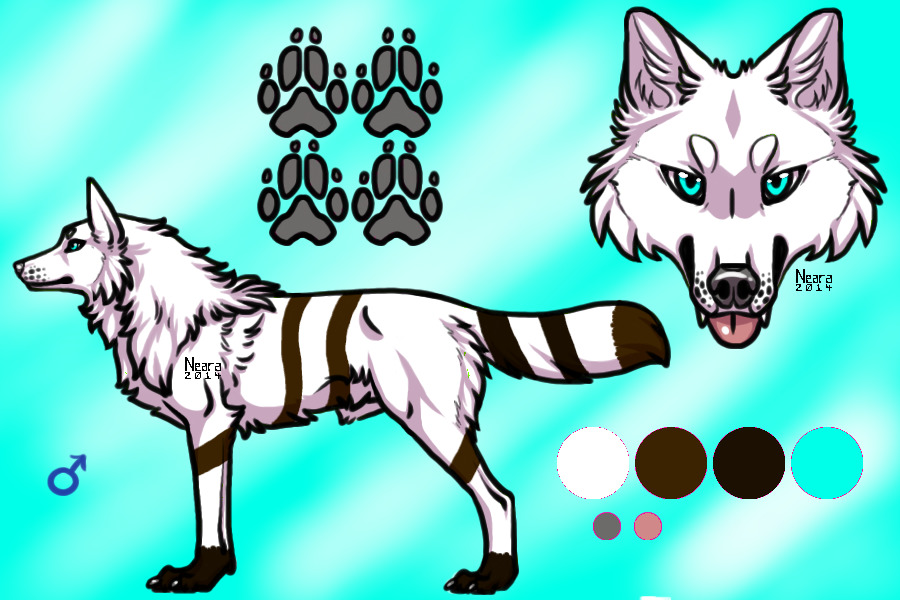 Nevada Reference Sheet