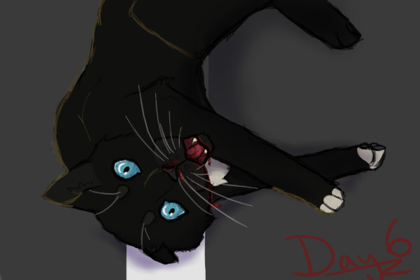 Warrior Cat Drawing Challenge- Day 6