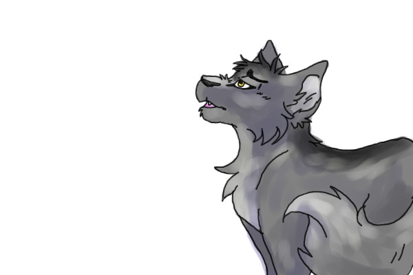 Graystripe where did the time go ?