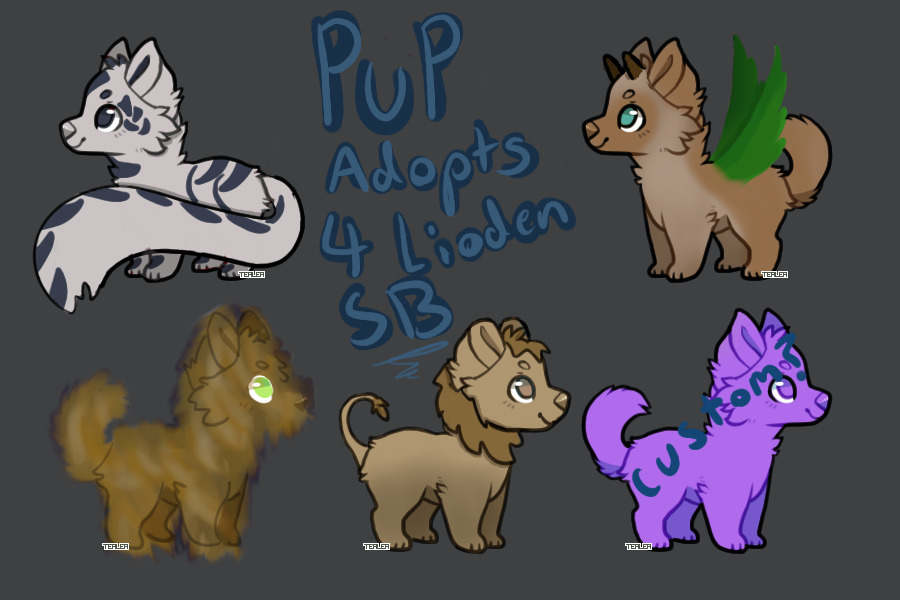 Pup adopts for lioden SB!