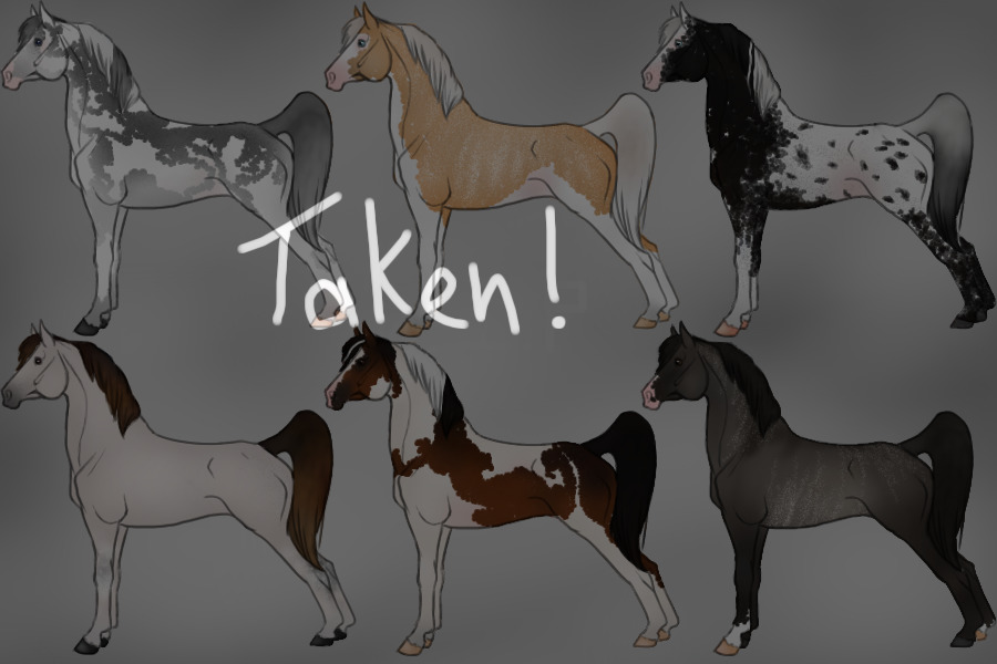 Free horse adoptables - Taken!