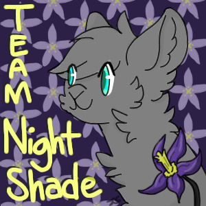Team Nightshade Pip