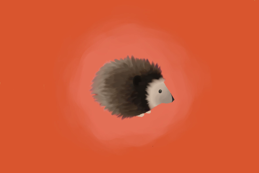 was fur practice now its a hedgehog