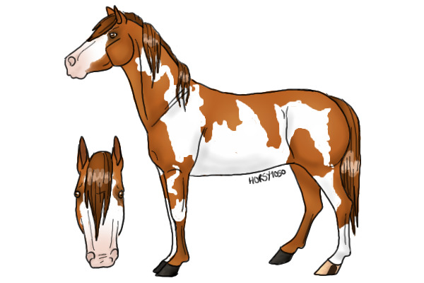 Horse for HDC