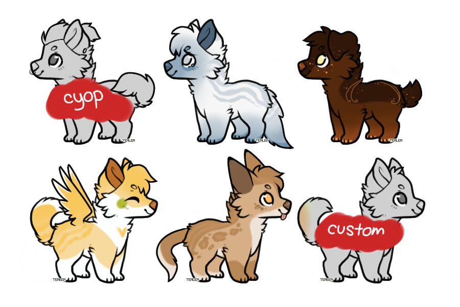 adopts for sale~