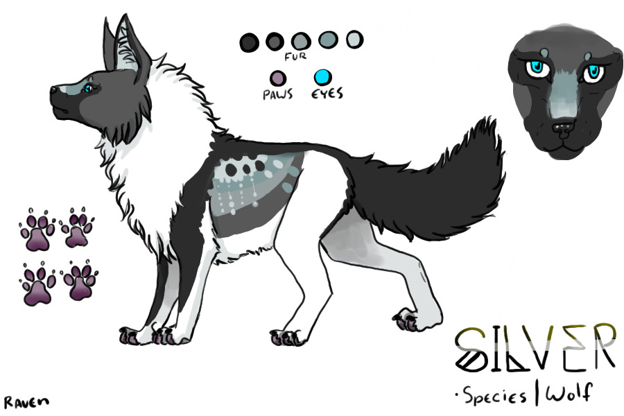 Silver Reference Sheet