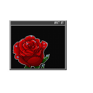 www.rose