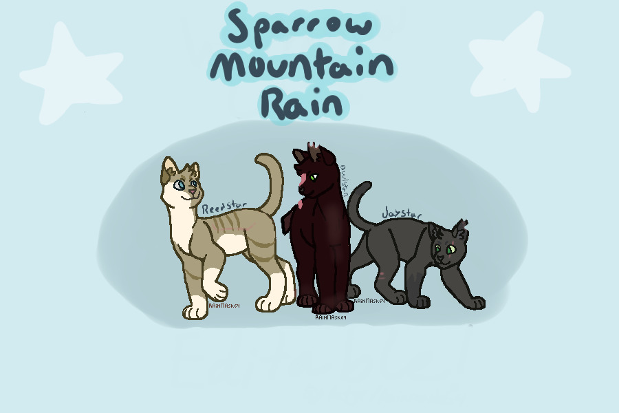 Sparrowclan, mountainclan and Rainclan