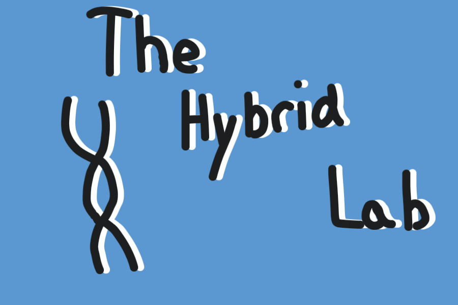 The Hybrid Lab
