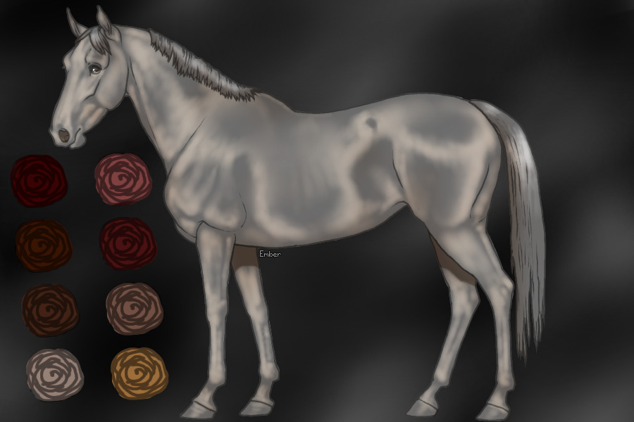 color the palette get a horse