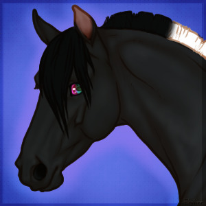horse HS - Vishrra
