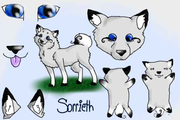 Sorrieth Reference Sheet