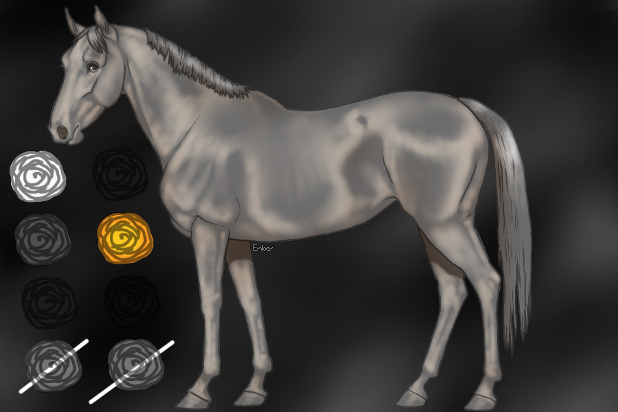 custom horse