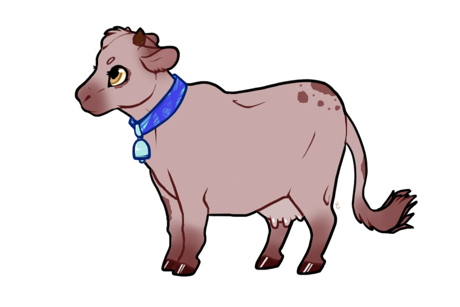 Cow Entry 2