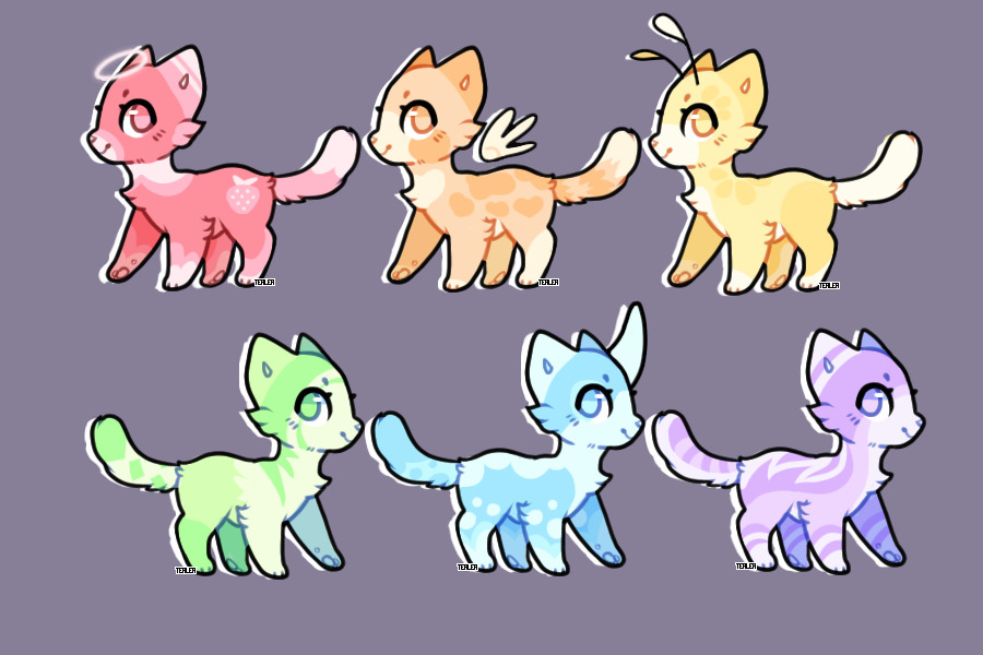 pastel kitten adopts auction