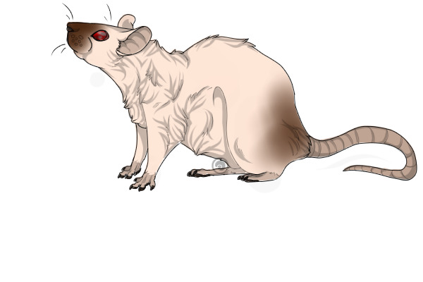 Ratty Rat Frisk