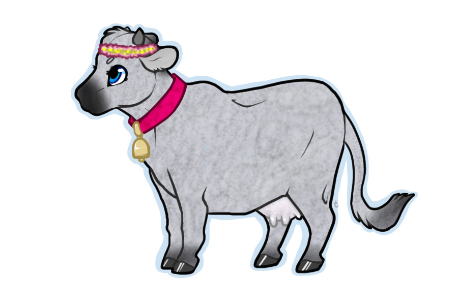 Cow Entry 4