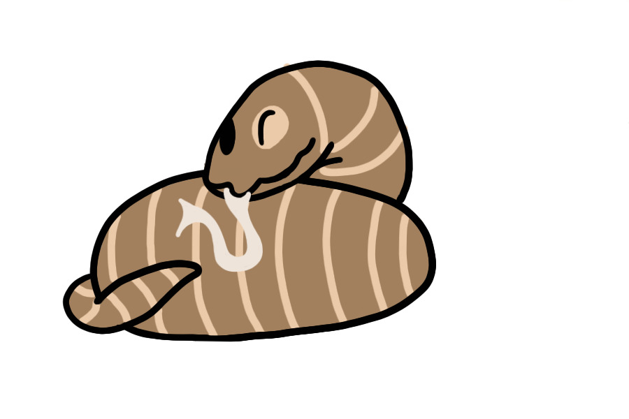 Striped Noodle
