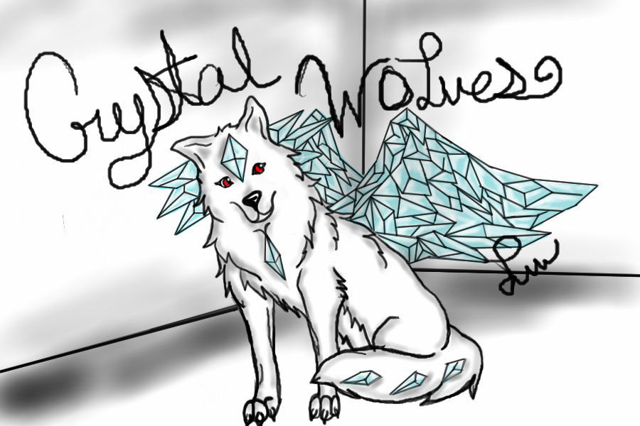 CRYSTAL WOLVES -NEW-