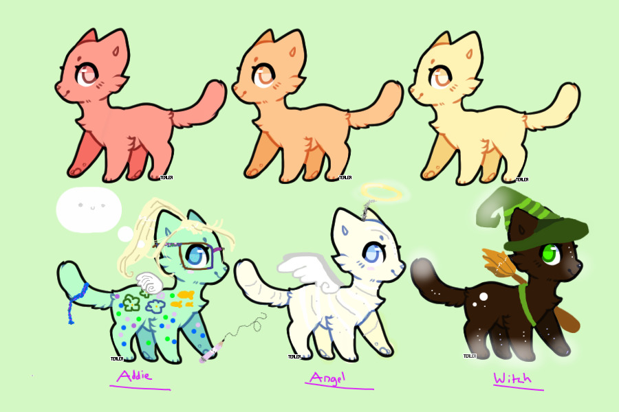 Kitties up for auction! Don’t miss out!