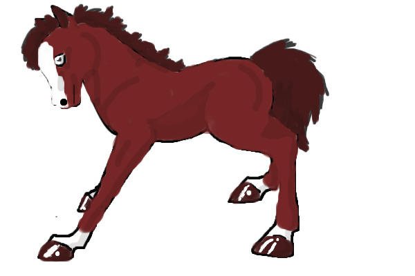 Foal