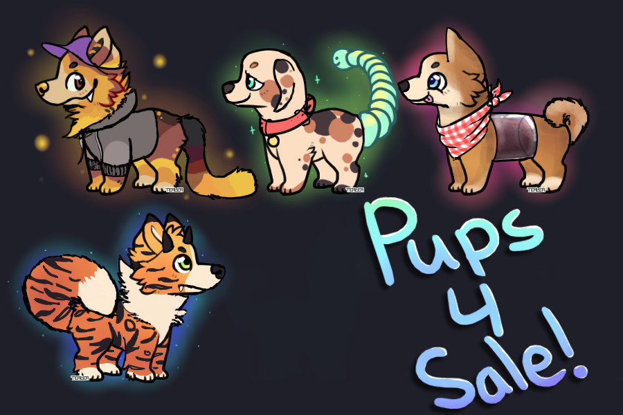 pups for sale