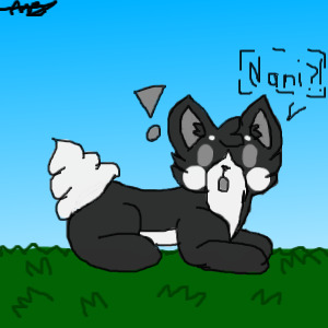 Nani?!