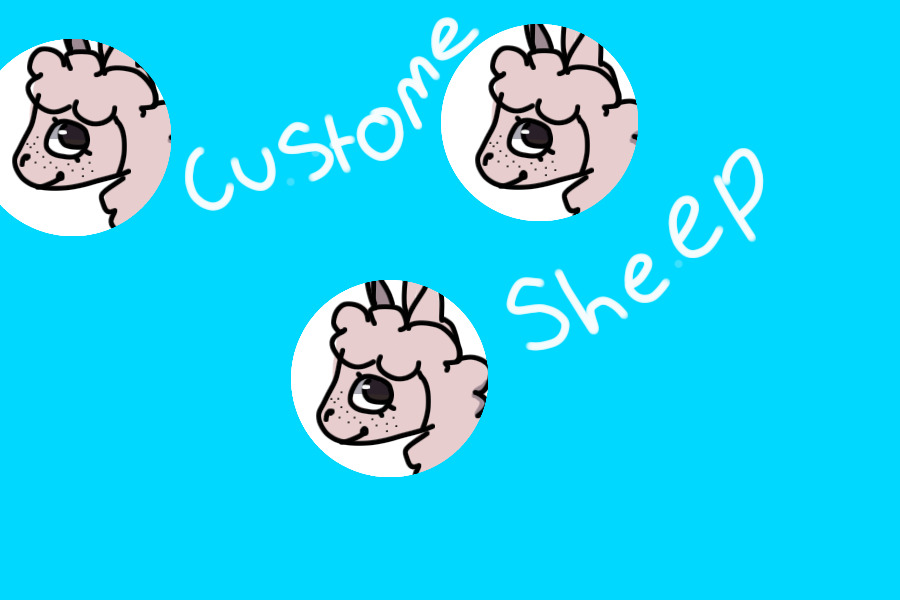 Custom Sheep