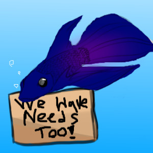 Bettas Have Needs Too!