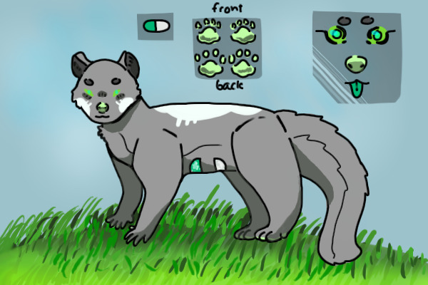 Pillets Adopts- Interest Check