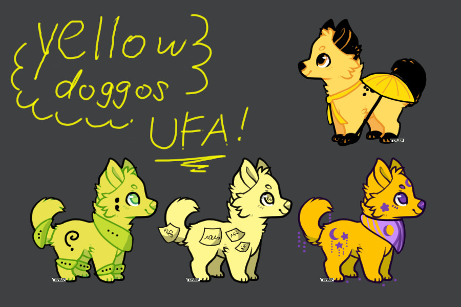 yellow doggos ufa!!!