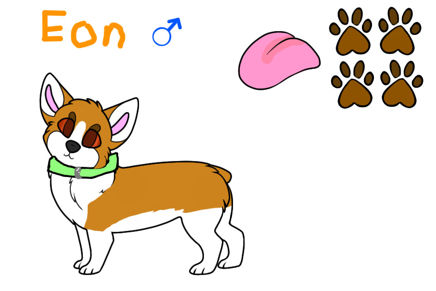 Eon the corgi