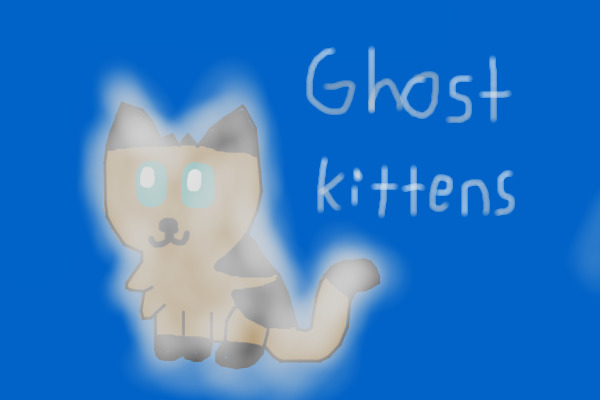 Ghost Kitten Adoptable #1