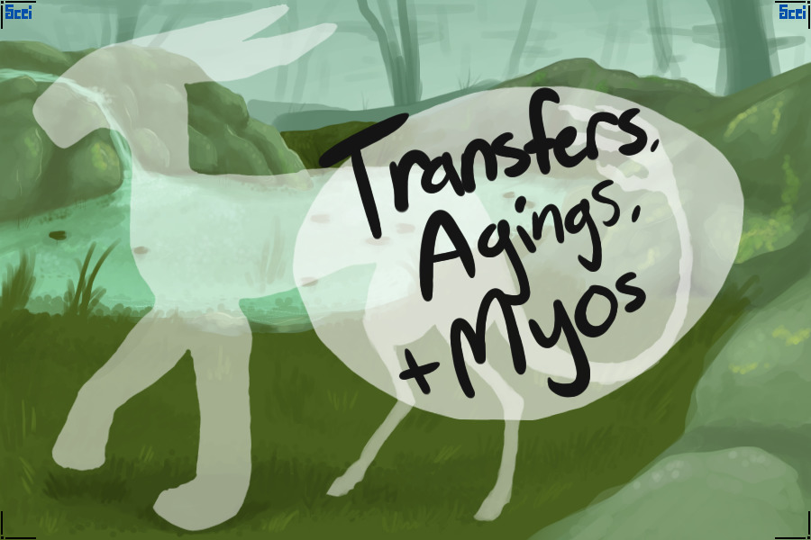 Shadow flitz transfers, agings, and Myos