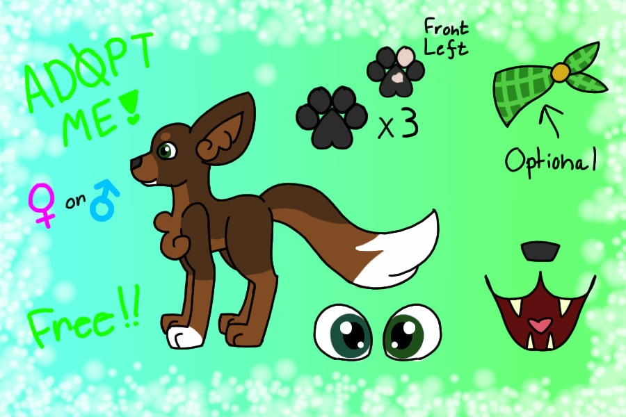 Free Canine Adopt