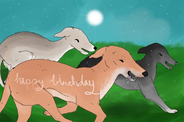 happy borkday to youuuuu