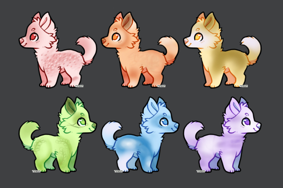 Tri-Color Pup Adopts | Ota