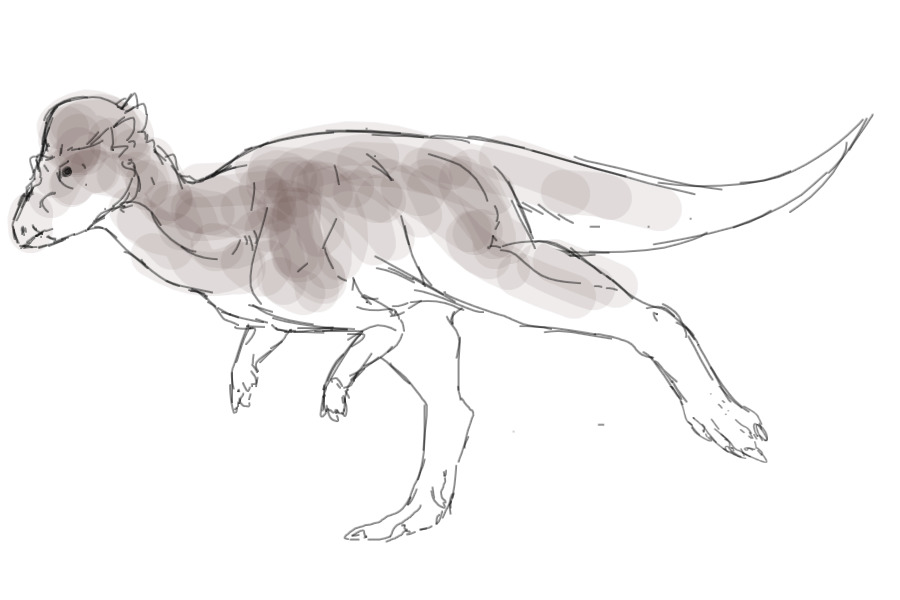 pachycephalosaurus
